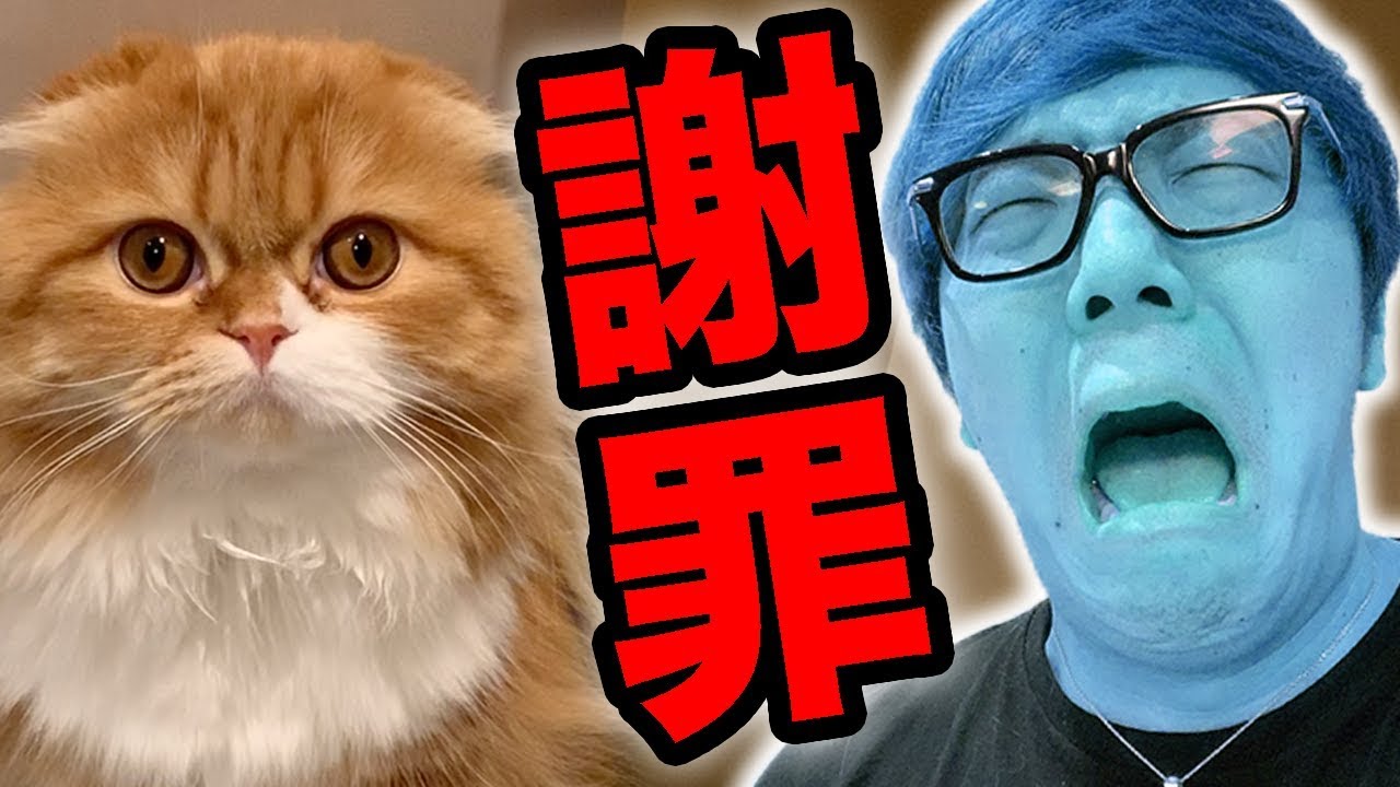 I will apologize to MofukoI have done something bad[Mocchan