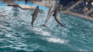 あつ森 (あつまれ どうぶつの森)の楽曲 横浜・八景島シーパラダイス 海