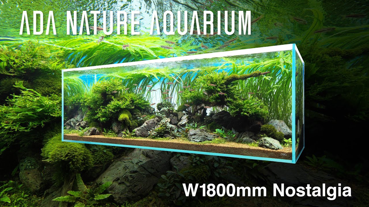ADAview] W1800mm Nature Aquarium Layout Nostalgia【EN/JP Sub