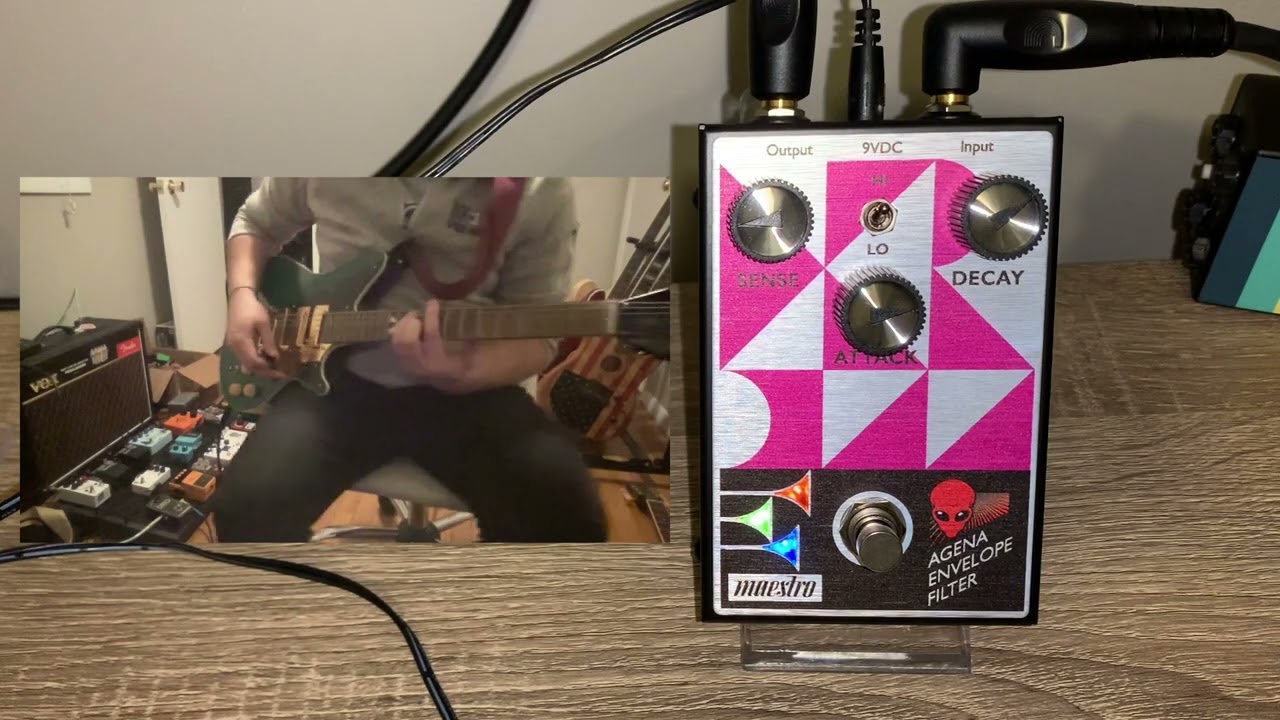 新品】Maestro by Gibson Agena Envelope Amazon.com: Maestro Agena