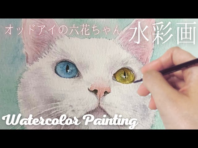 水彩画 オッドアイの白猫六花ちゃん【タイムラプス 癒し】【Time-lapse