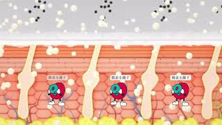 業務用 カーボキシー ボディ専用 21万PPMロールシート(15メートル