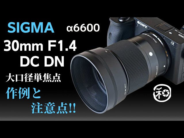 SIGMA 30mm F1.4 DC DN 大口径単焦点と SONY α6600 で等倍の作例を