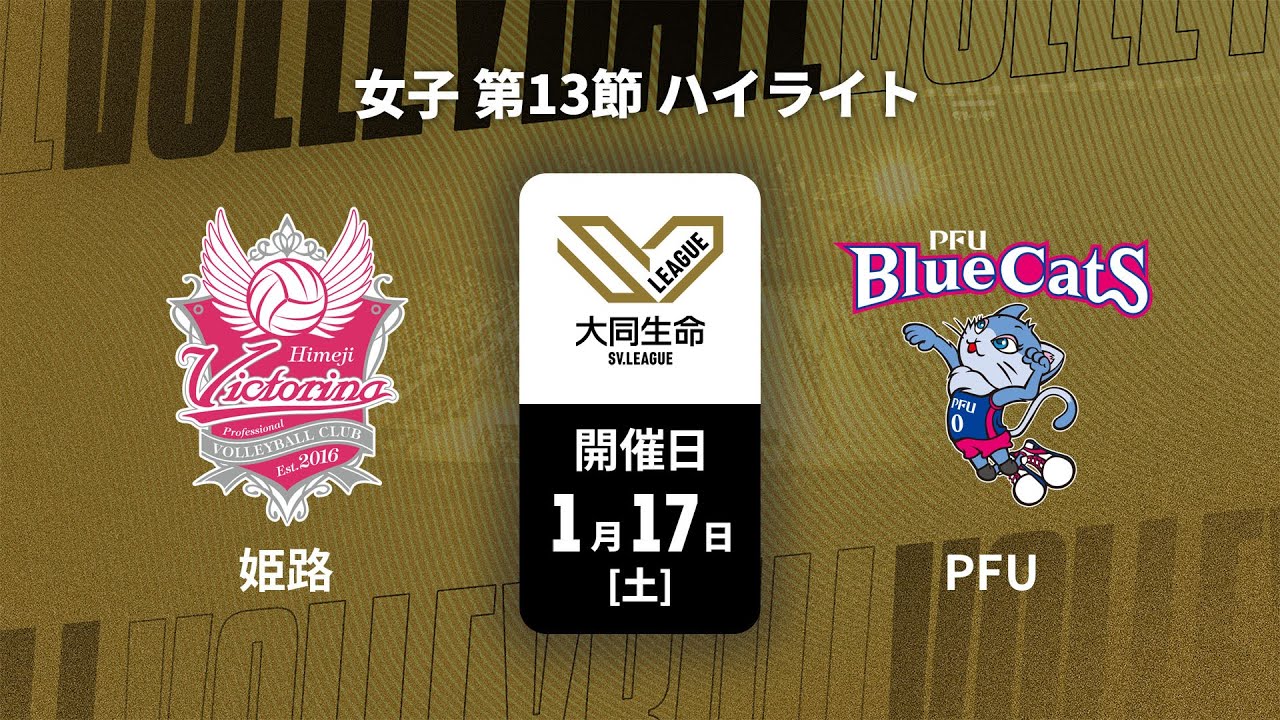 川添 美優 | 選手名鑑 | 大同生命SVリーグ女子 2025-26 | バレーボール