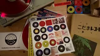 こだまレコード | KODAMA RECORDS - TOP -