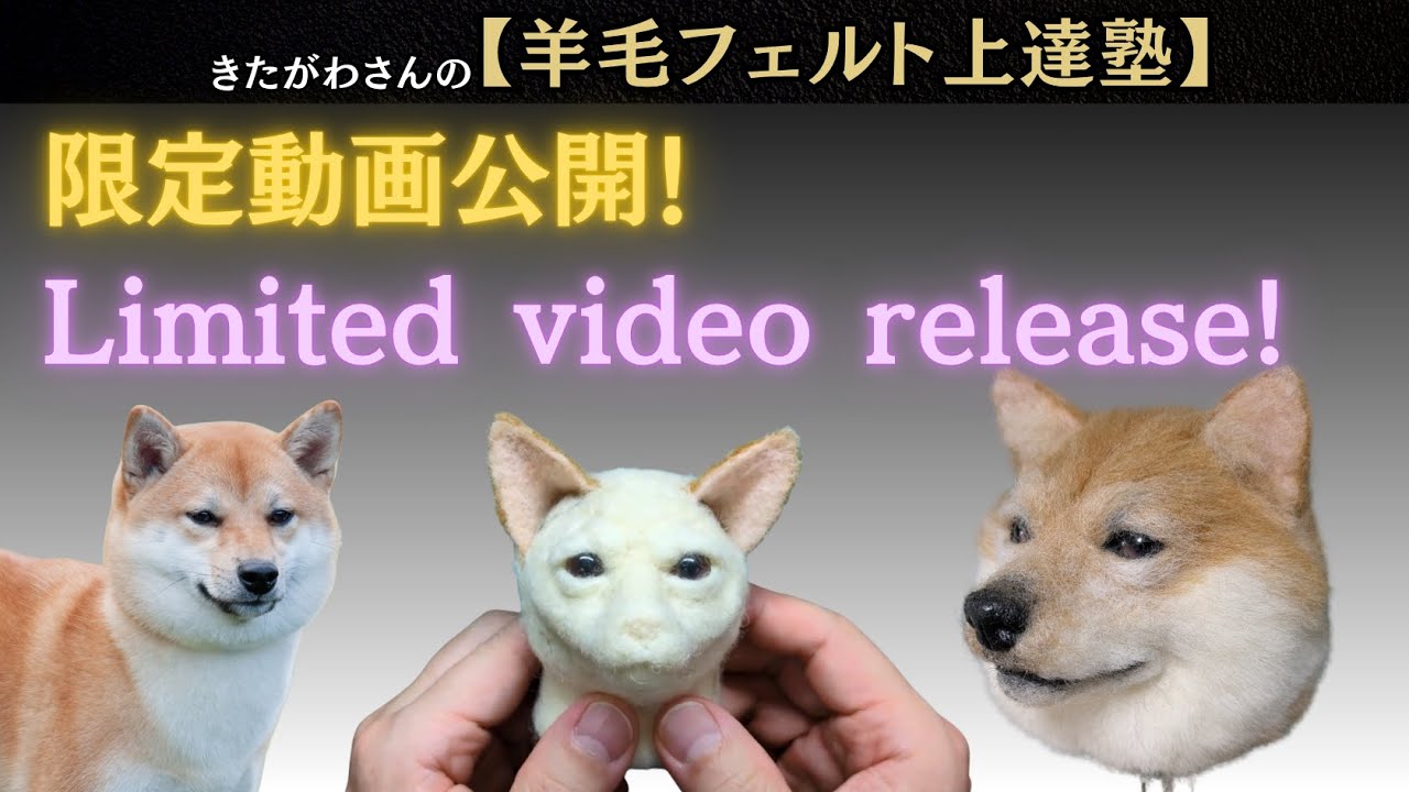 柴犬の作り方】限定動画公開！ - YouTube
