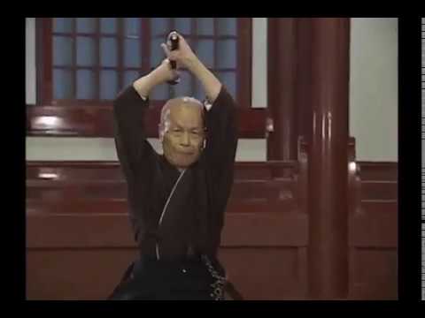 無双直伝英信流（演武・大日本居合道 八重垣会 会長 井村 渉）DVD デモ