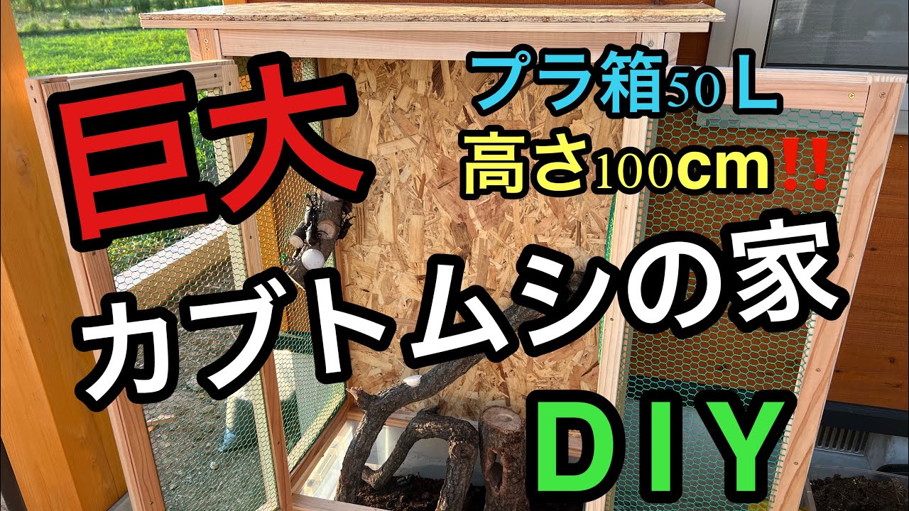 DIY breeding shed] ~ Building a home for the rhinoceros beetles