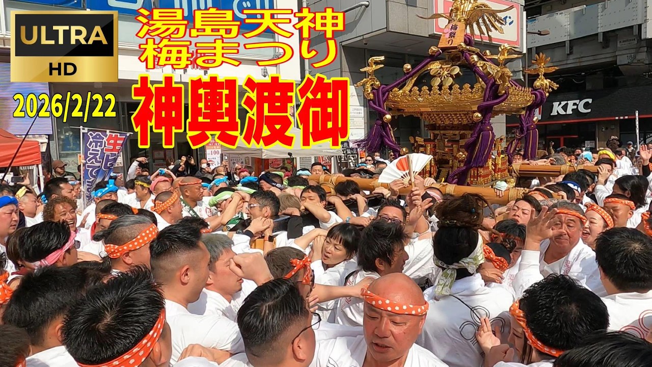 2026/2/22 湯島天神梅まつり『神輿渡御』#湯島天神 #梅まつり #神輿
