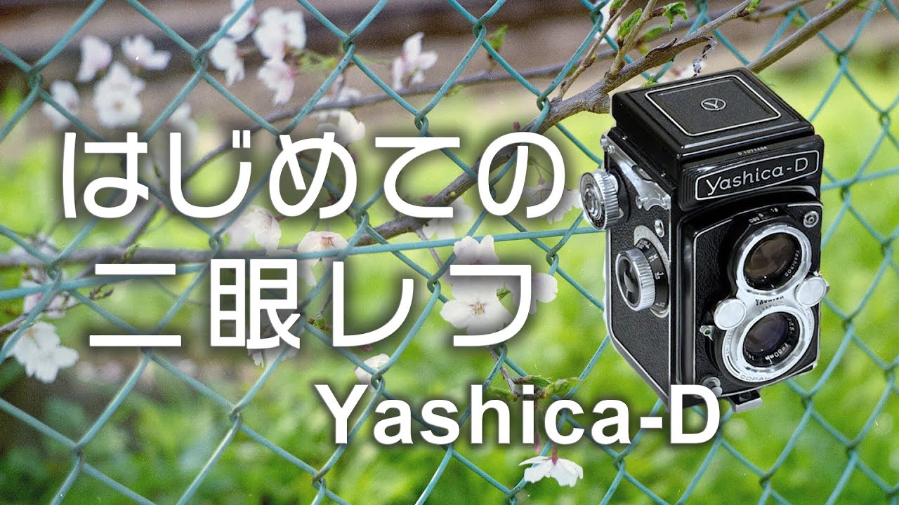 Yashica-D 二眼レフカメラ ストラップ付き Yashica-D 二眼レフカメラ