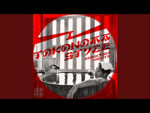 Shinichiro Yokota – Tokonoma Style – 2 x Vinyl (12