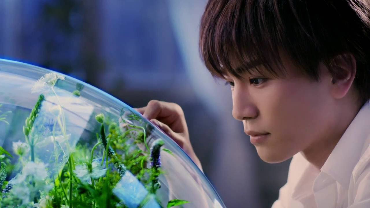 EXILE/三代目 J Soul Brothers from EXILE TRIBE 岩田剛典 2016春夏