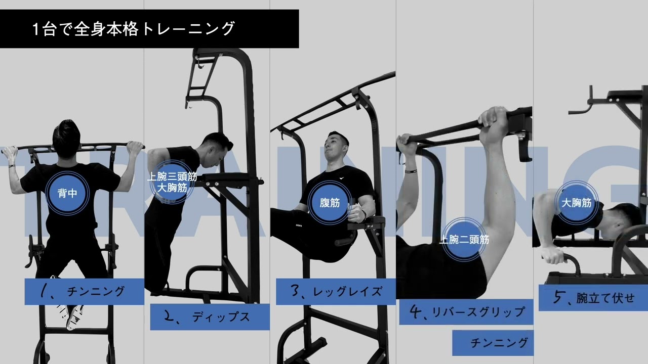 マルチ懸垂マシン 耐荷重150kg 特許庁実案取得 365日保証 ST115 STEADY