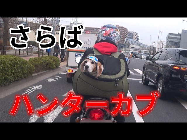Motorcycle] Farewell! Hunter Cub [CT125] - YouTube