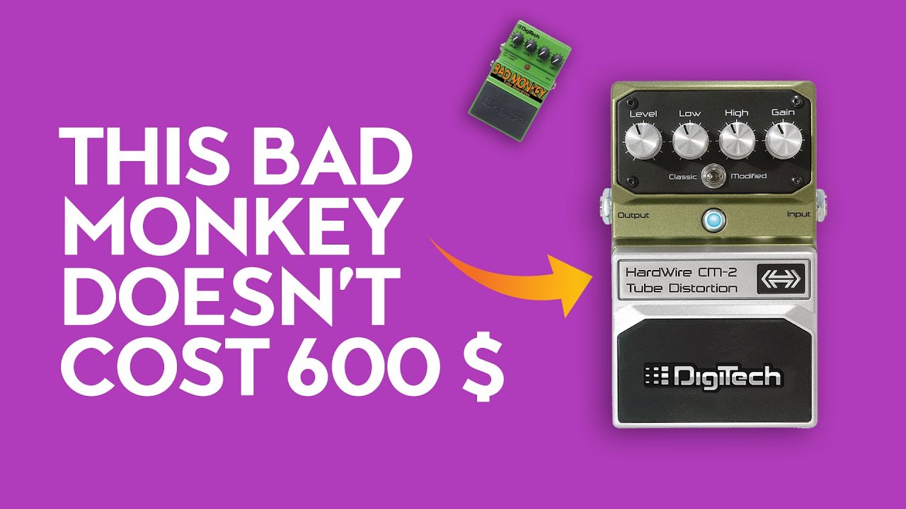 Digitech Bad Monkey vs Hardwire Tube Distortion CM2 - this Bad