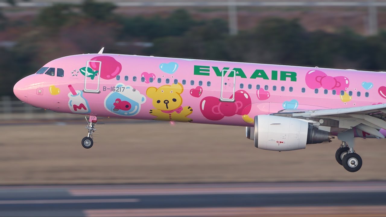 Eva Air Pinky Jet Airbus A321 B-16217 Landing at Sendai | 粉萌機