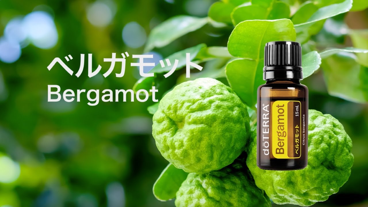 ベルガモット - doTERRA TIMES