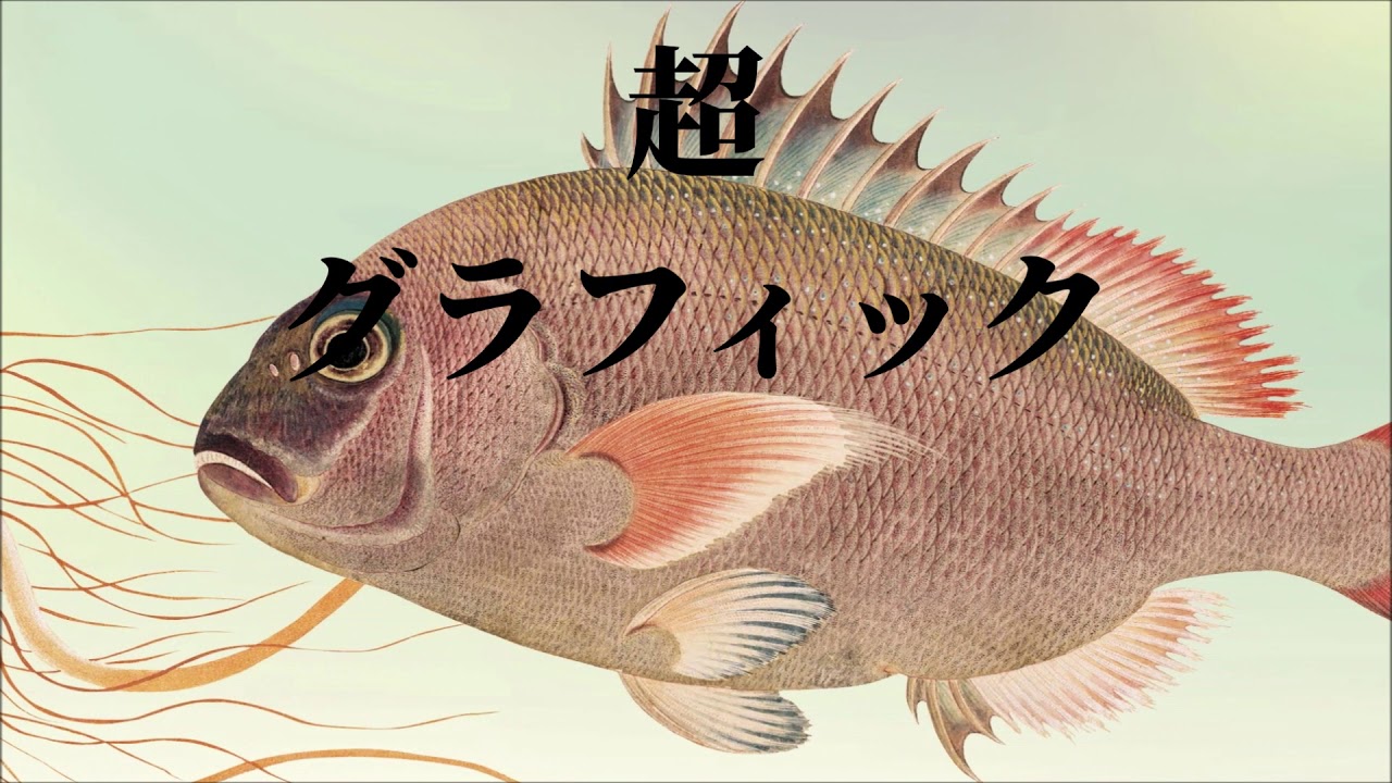 特別展「自然に挑む 江戸の超(スーパー)グラフィック－高松松平家博物