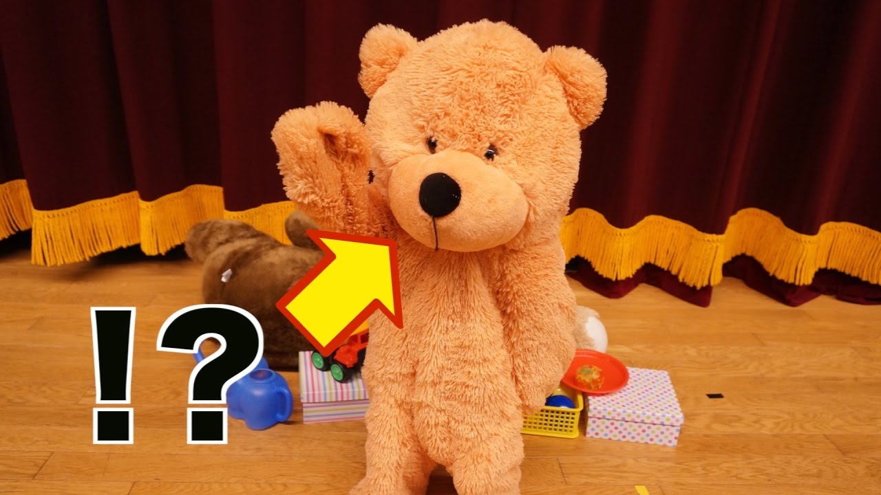 衝撃】生きているクマのぬいぐるみをご覧ください。(#122) - YouTube