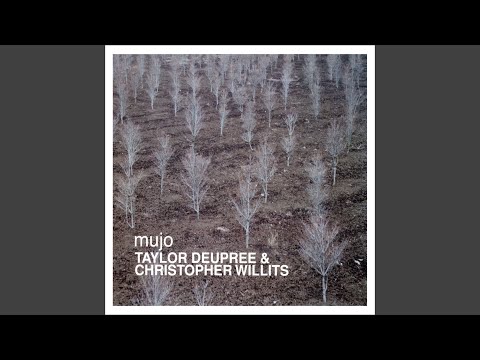 Christopher Willits - YouTube