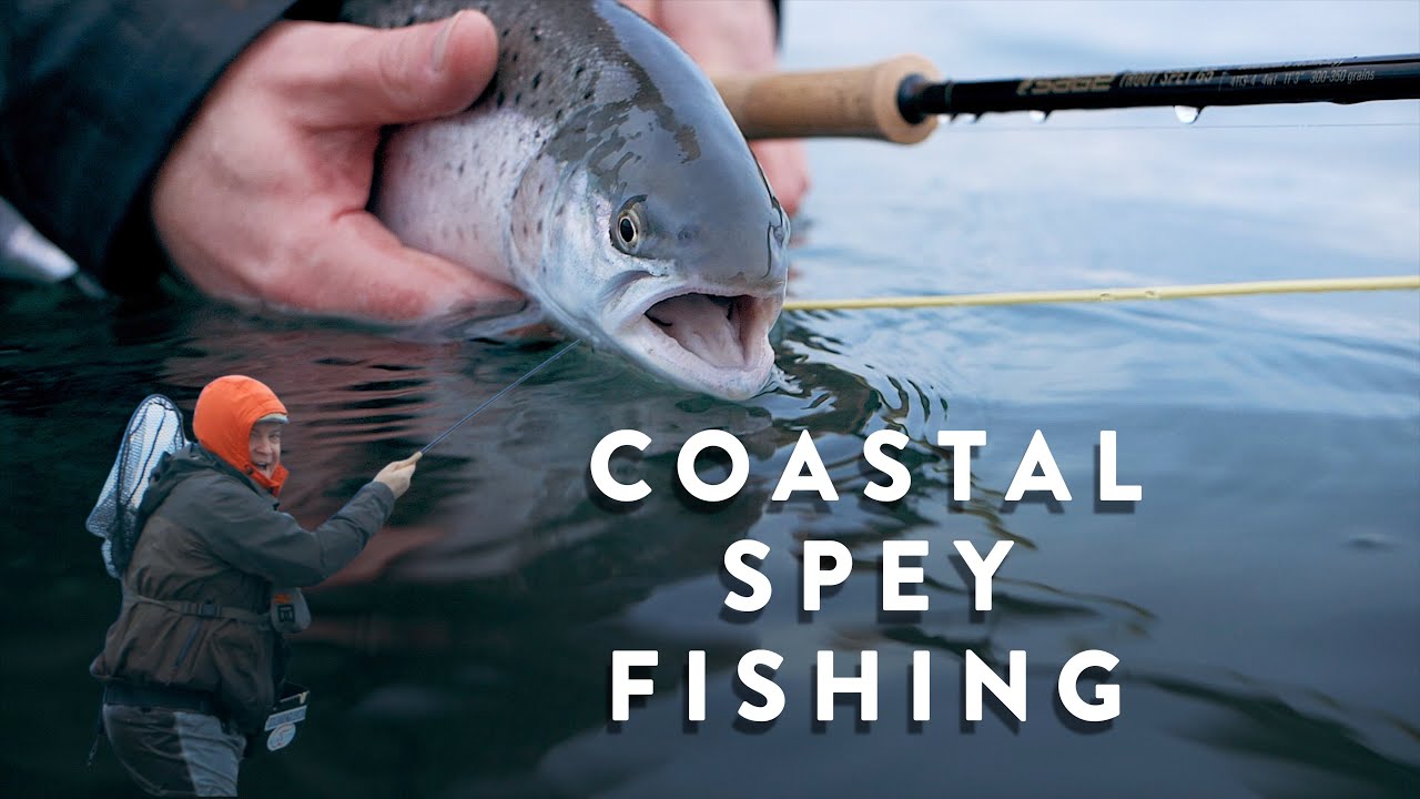COASTAL SPEY FISHING - Catching Seatrout on double handed rods