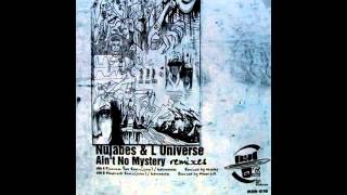 NUJABES FEATURING L-UNIVERSE / AIN'T NO MYSTERY REMIXES (12