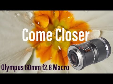 Olympus 60mm f2.8 Macro Lens - Take A Closer Look At Life - YouTube