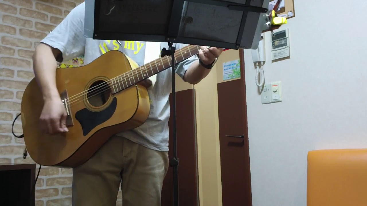 Garrison G20(Fishman Sonitone) 