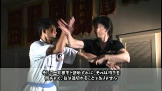 究める！これが武術だ 第2巻 | DVD | 武道・武術の総合情報サイト WEB秘伝