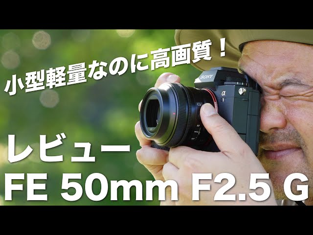 FE 50mm f2.5 Gレビュー】お散歩スナップに最適！写真の基礎も身につく