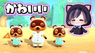 The way Tom Nook's camera captures photos in the digest of Animal