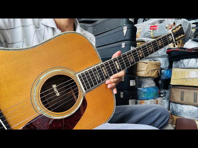 SOLD)🔴[SUPERB ITEM] Morris TF-80, extremely beautiful | Rare item