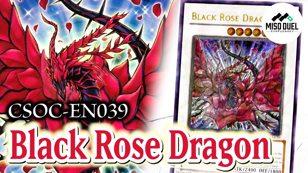 しゃちょコレ】CSOC-EN039 Black Rose Dragon (ブラック・ローズ