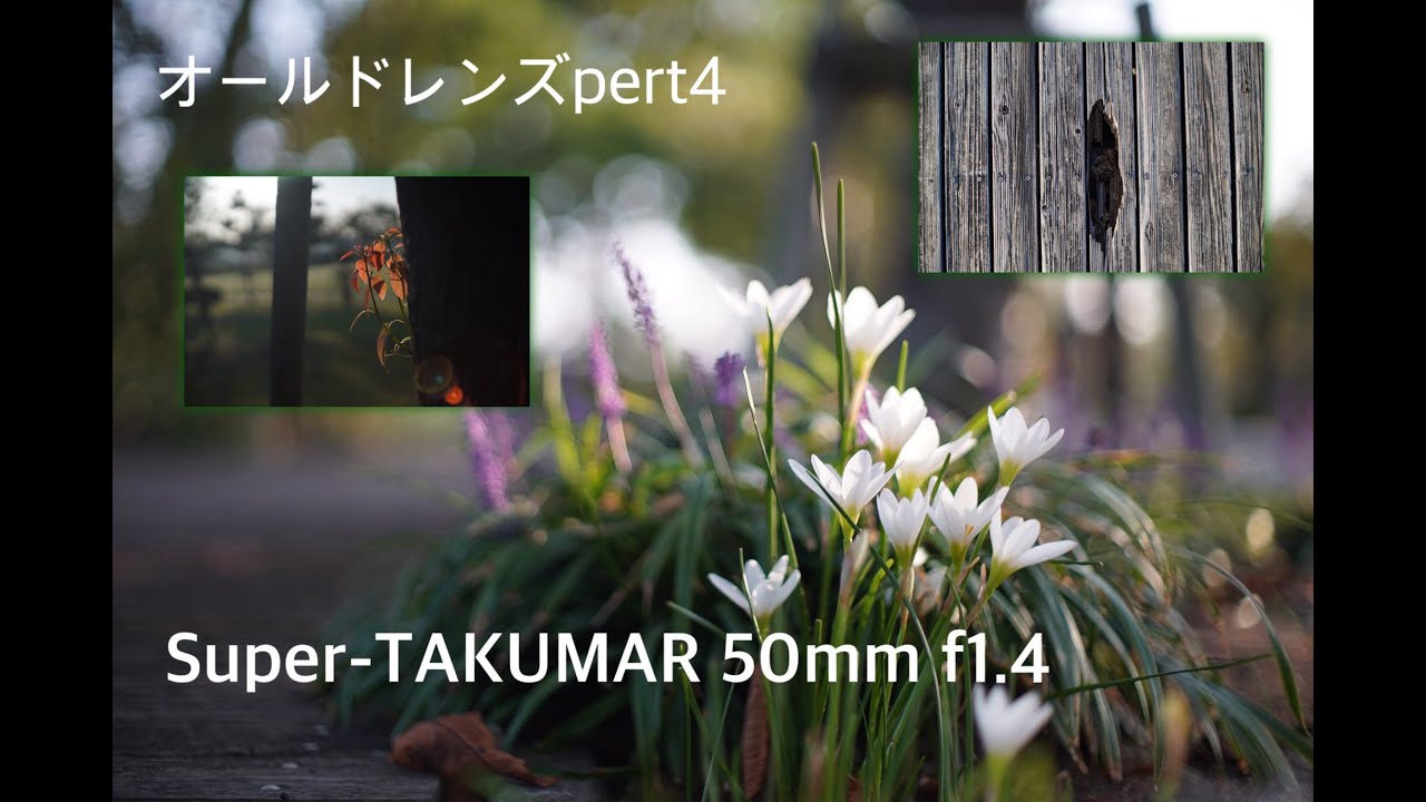 ボケ味最レンズ、smc-takumar 50mm f1.4 の実力はいかに！単焦点入門に