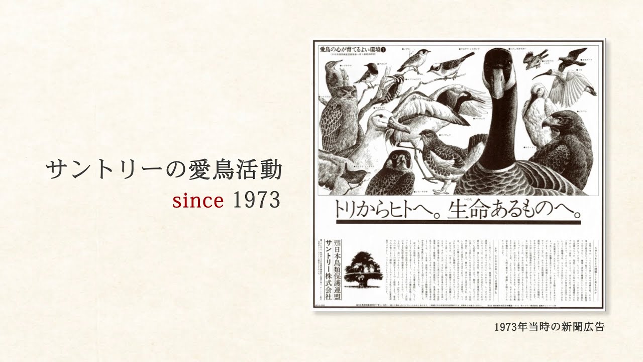 愛鳥活動動画集｜サントリーの愛鳥活動