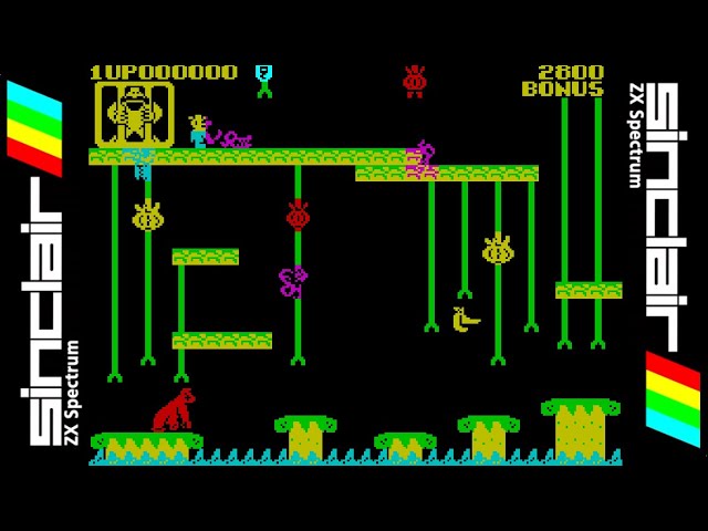 DONKEY KONG JR. (1984) Walkthrough, ZX Spectrum - YouTube