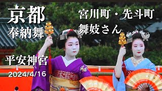 京都【宮川町/先斗町】2024/4/16 舞妓さん奉納舞 平安神宮例祭 京都