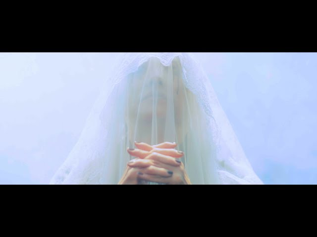 BUCK-TICK BIG Tシャツ 太陽とイカロス Lサイズ 名古屋公演から