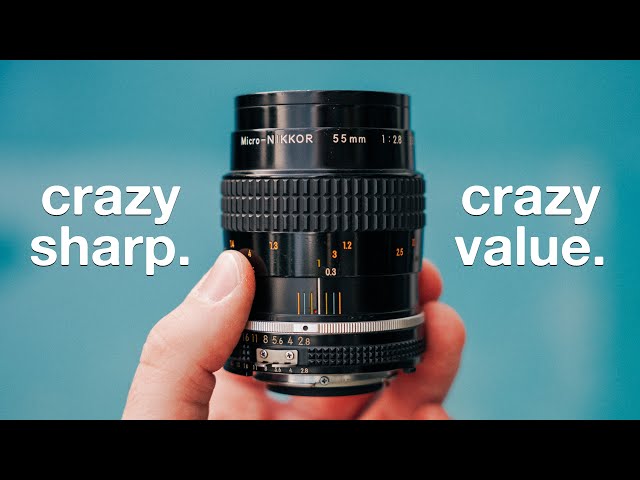The Nikon 55mm f2.8 Is One Of The Greatest Macro Lenses Ever - YouTube