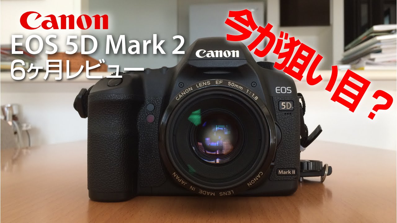 2015.5）【CANON EOS 5D Mark2】6ヶ月レビュー！今が狙い目ですよ