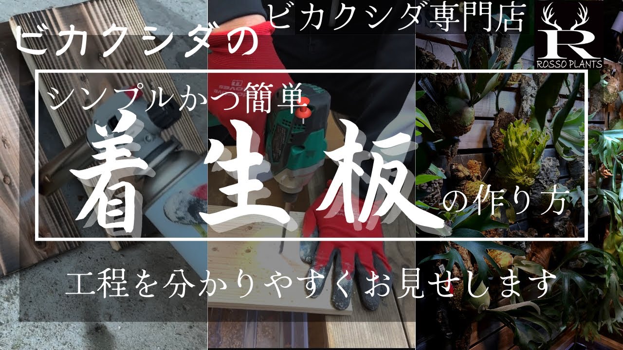 シンプル簡単】ビカクシダの着生板の作り方 - YouTube