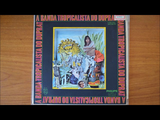 Rogério Duprat - Banda Tropicalista - YouTube
