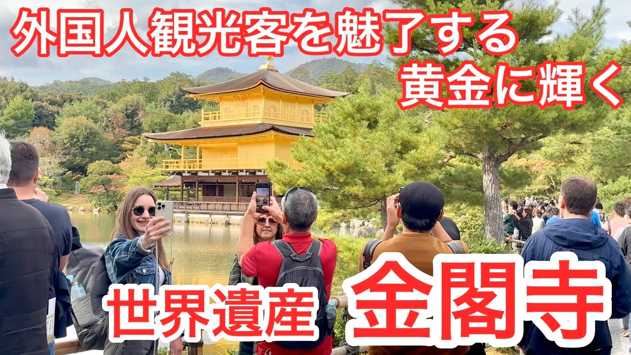 2025年11月2日 世界中の外国人観光客を魅了する 黄金に輝く世界遺産