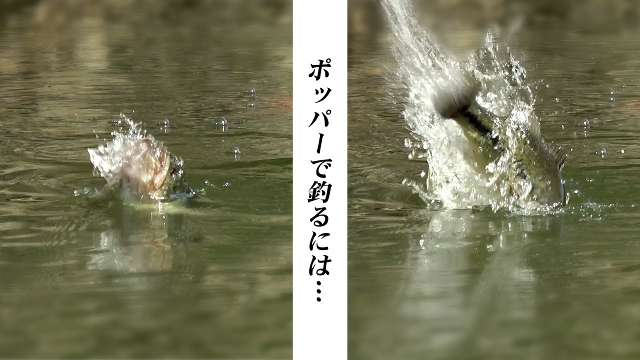 New products for 2026! - YouTube