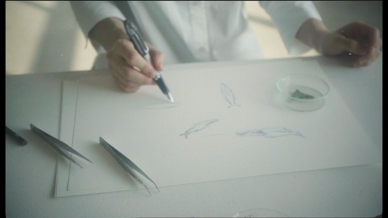 寺尾紗穂 - 北へ向かう - YouTube