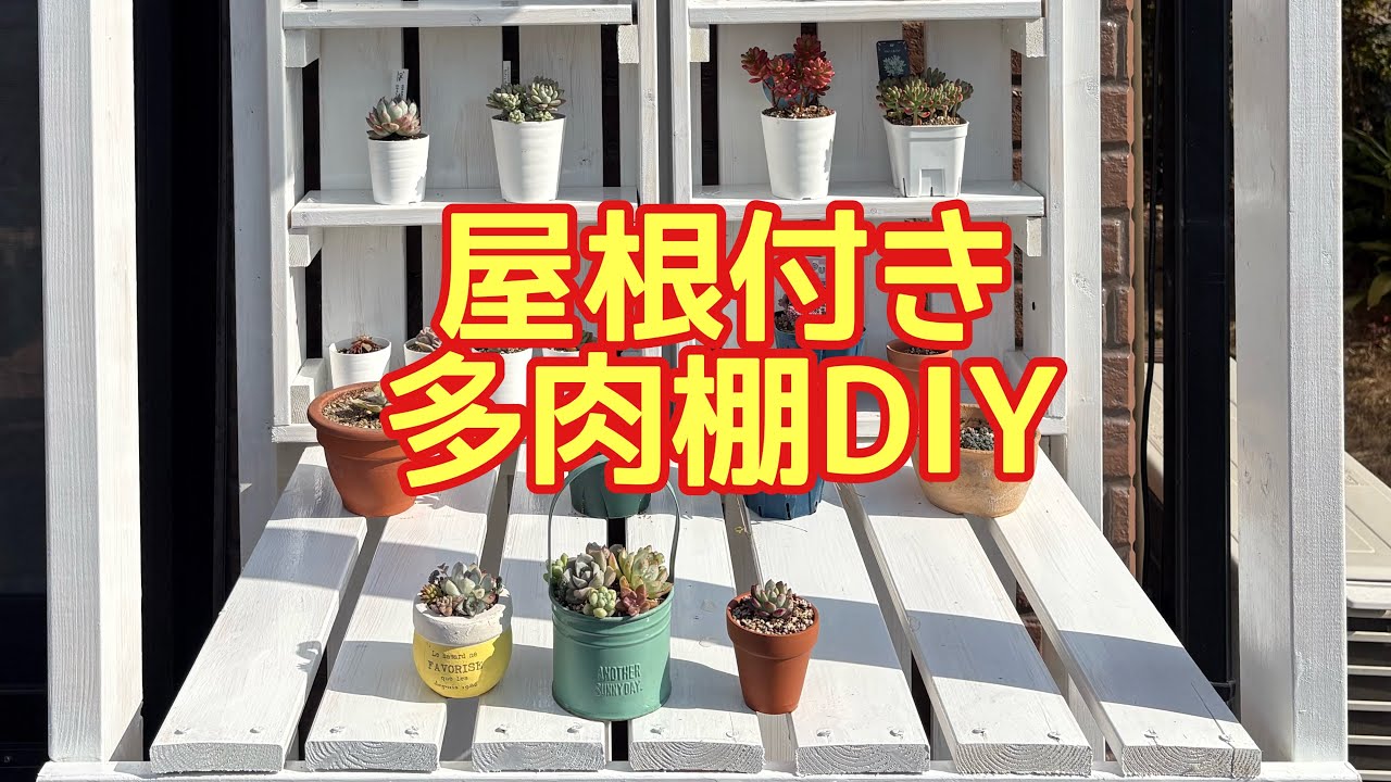 29 多肉棚DIY 🪚 #たにくしょくぶつ #多肉植物 #succulent - YouTube