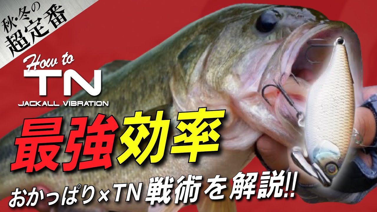 TN Textbook Vol.4] The most efficient fishing method for large