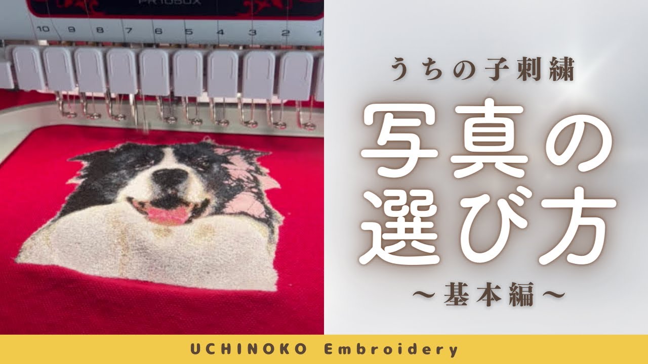 保存版】うちの子刺繍写真の選び方（基本編） - YouTube