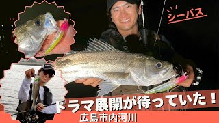 Sea bass fishing in the rivers of Hiroshima city! Black porgy and