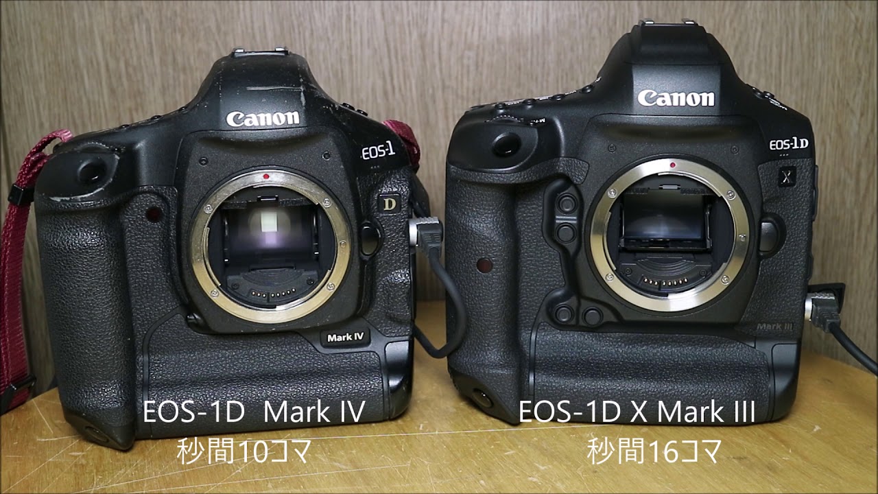 EOS-1D Mark IV VS EOS-1D X Mark III シャッター音比較 - YouTube